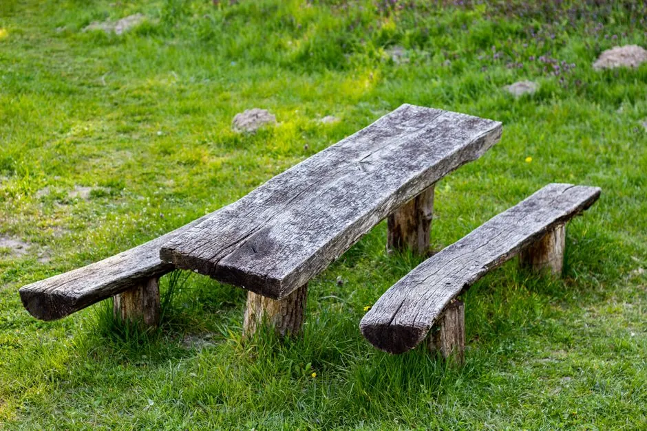 Taille de haies et entretien jardin