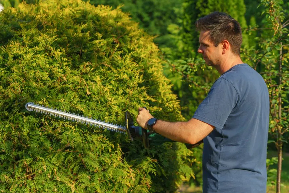 Réalisation paysagiste jardin Haute-Vienne