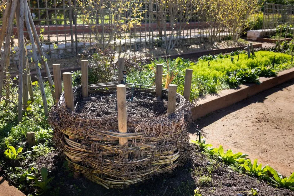 Jardin soigné aménagé par Maison Robin Bois et Jardin à Limoges